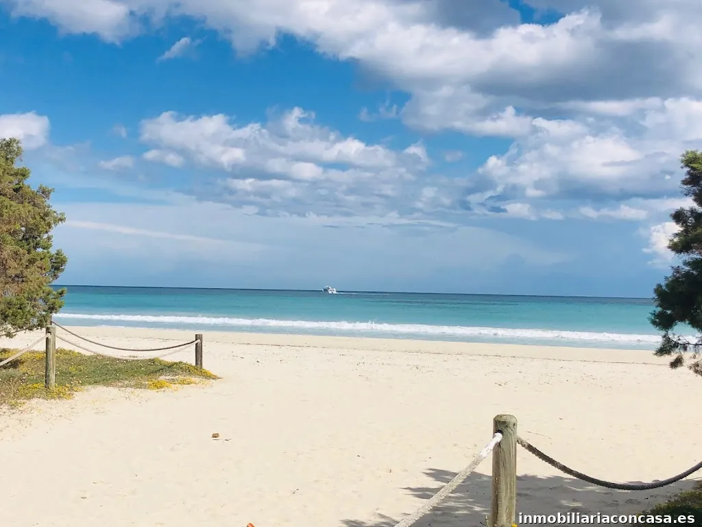 Mallorca Dream | Inmobiliaria en Porto Cristo