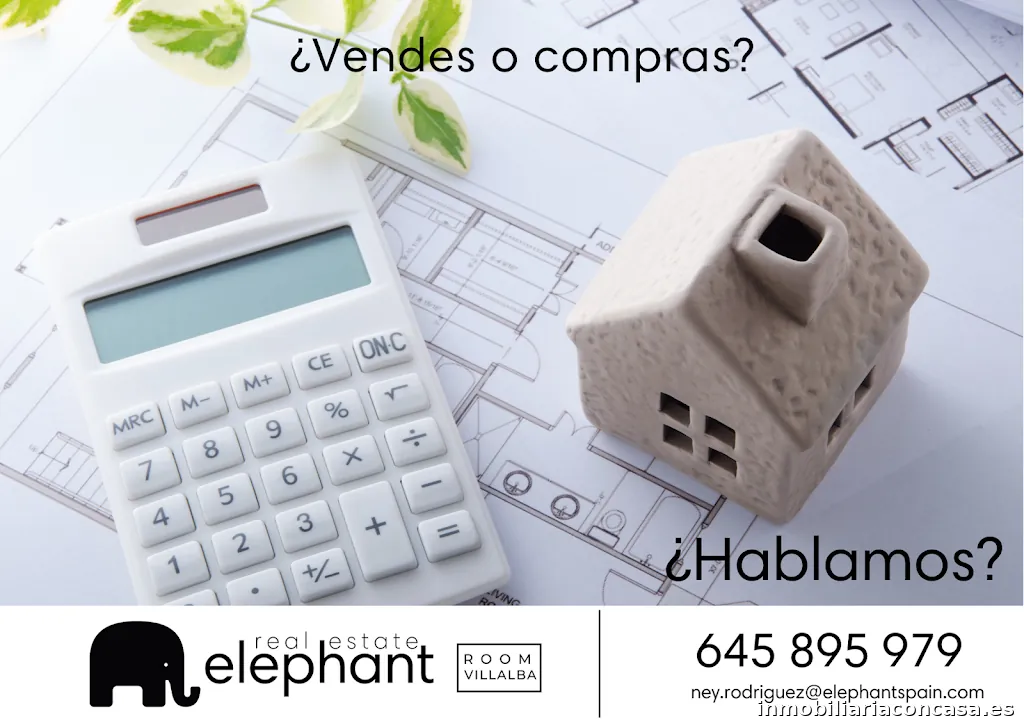 Ney Rodríguez Elephant Real Estate